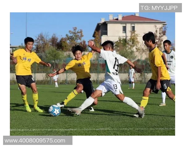 探索足球的魅力与激情：从场上战术到球迷文化的全方位解析