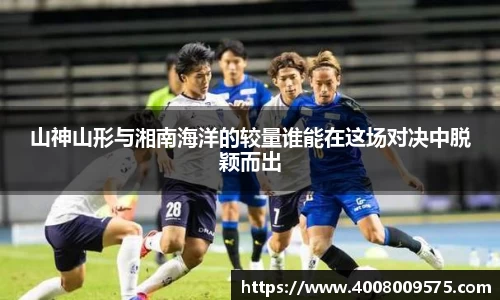 熊猫体育平台