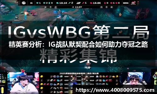 精英赛分析：IG战队默契配合如何助力夺冠之路