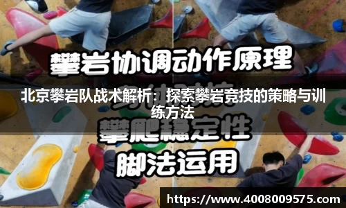 熊猫体育官网