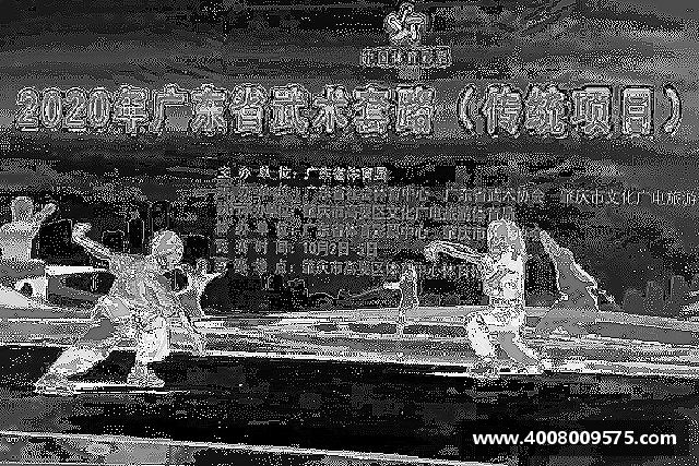 发现熊猫体育